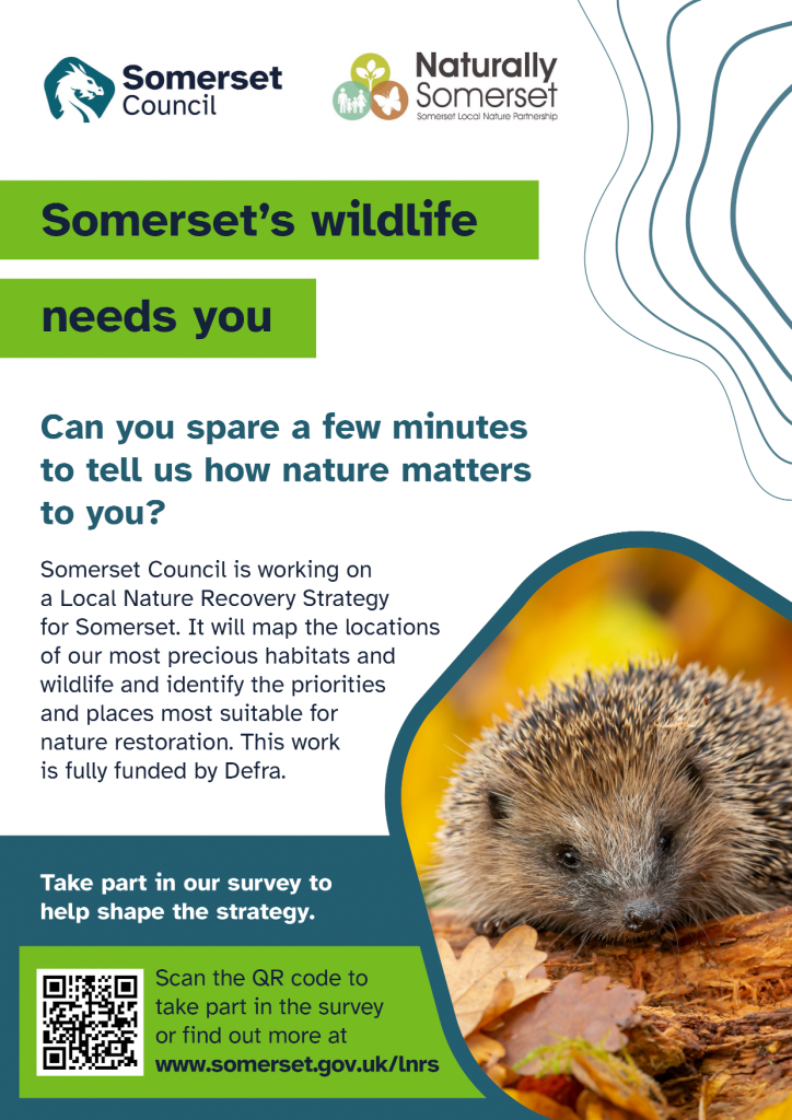 Poster advertising the wildlife survey