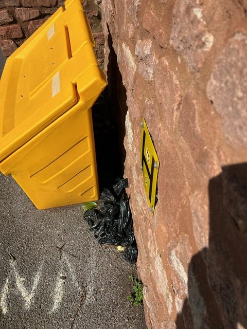 Dog poo bags inappropriately left by grit bin on Wembdon Hill